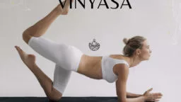 Cours de Yoga Vinyasa