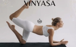 Cours de Yoga Vinyasa